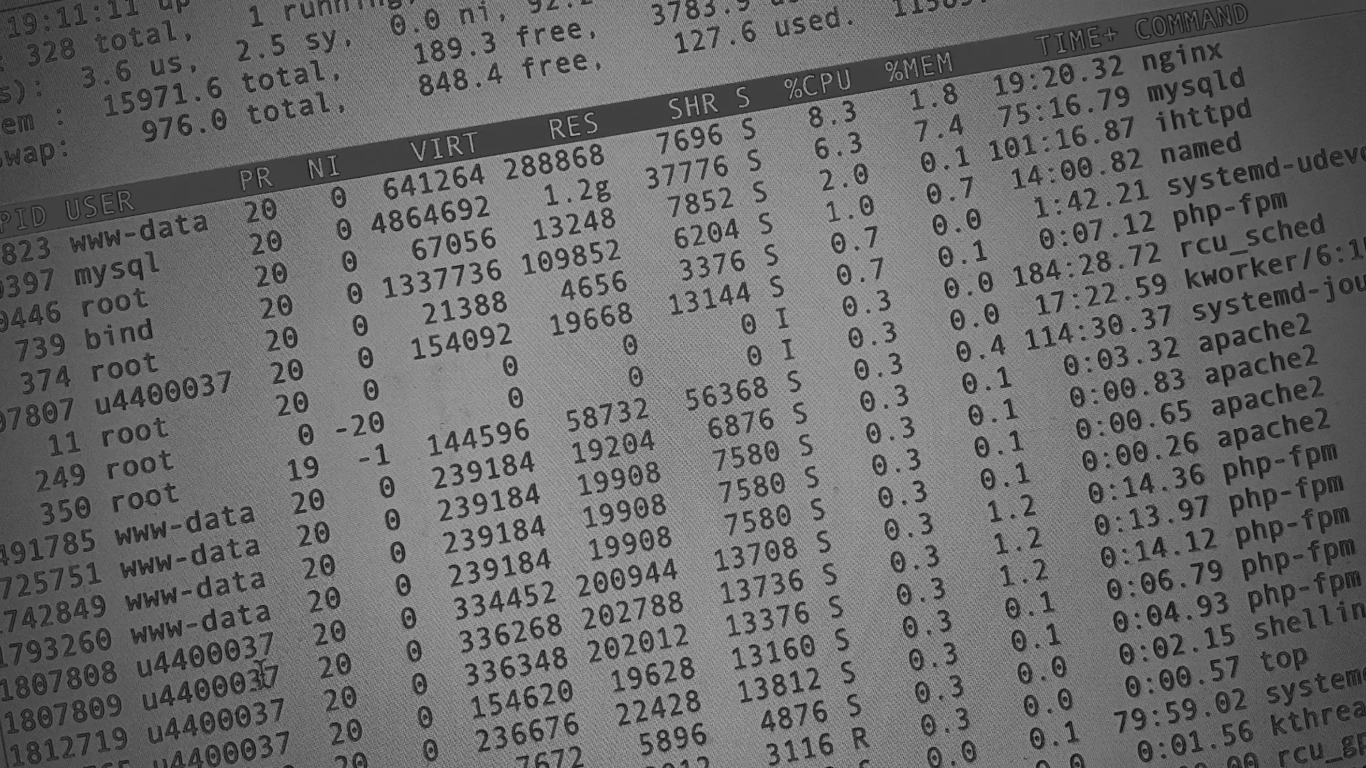 Настройка сервера в Шагонаре Настройка сервера в Шагонаре