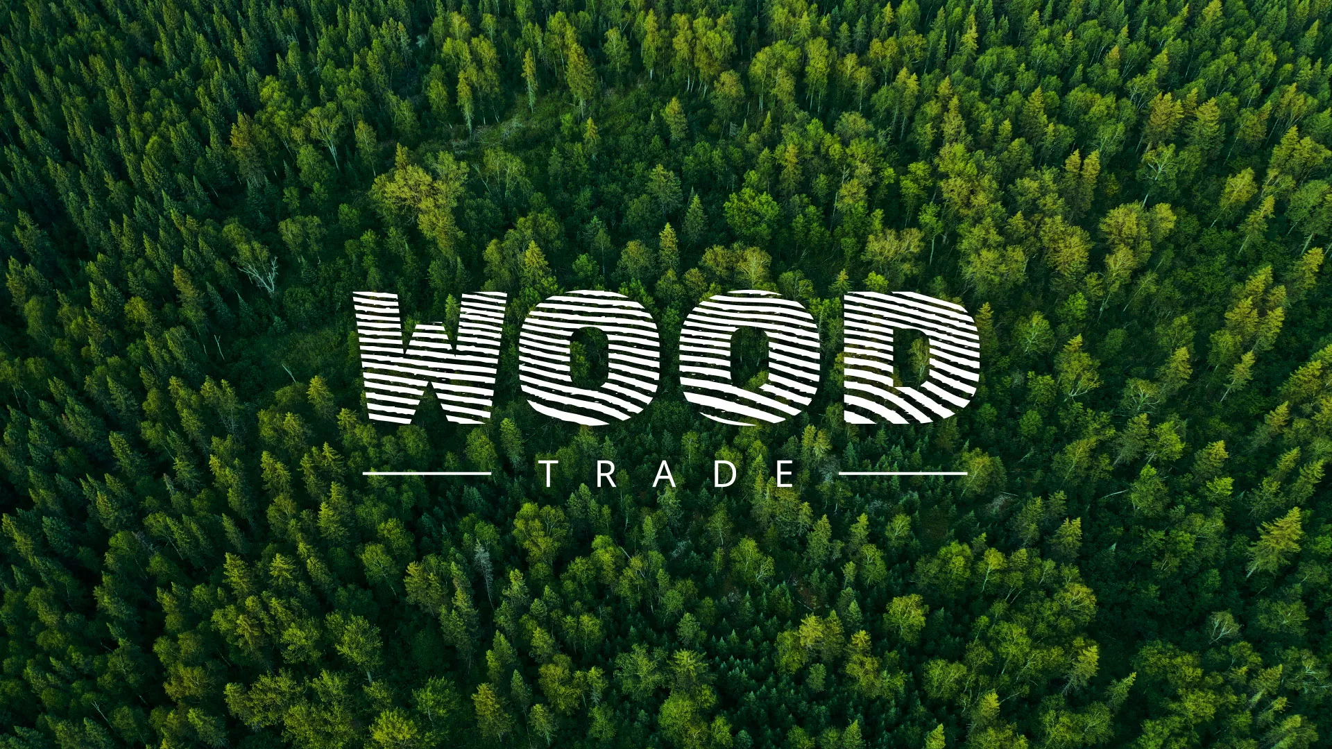 Разработка интернет-магазина компании «Wood Trade» в Шагонаре