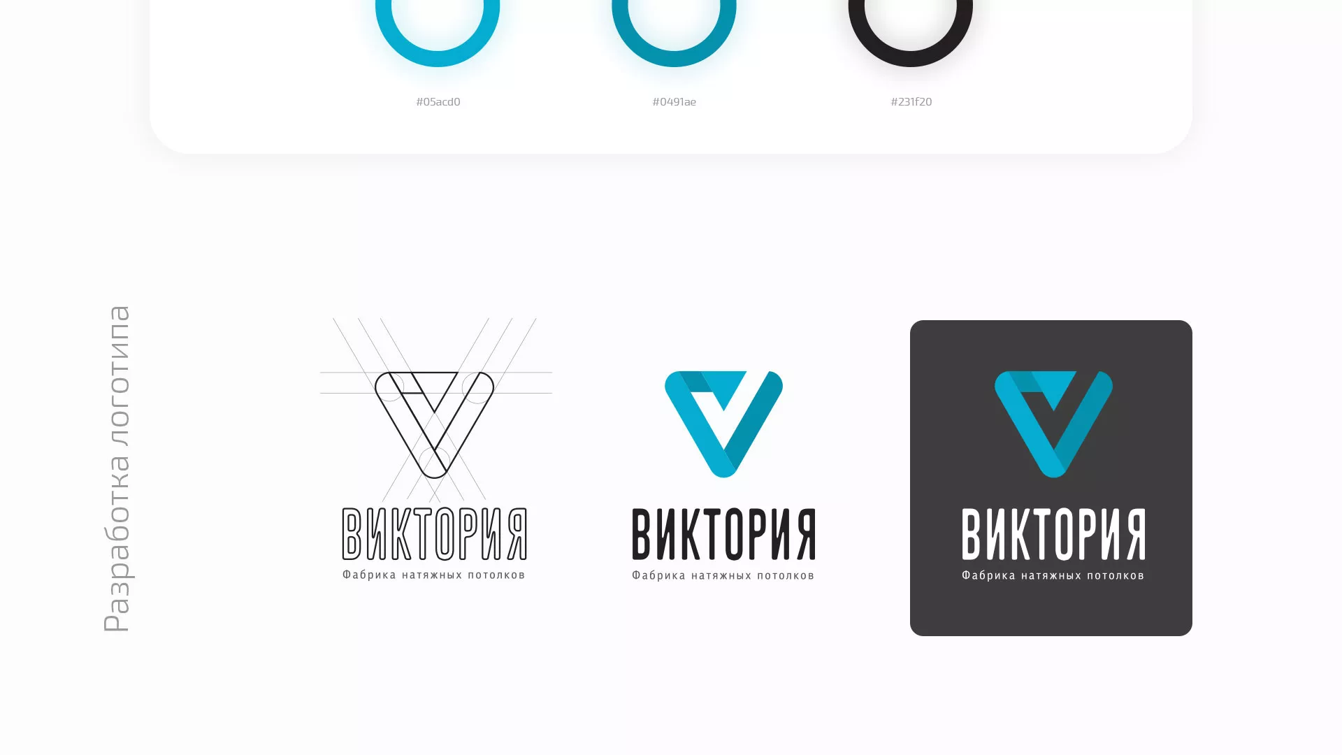 Разработка фирменного стиля компании по продаже и установке натяжных потолков в Шагонаре