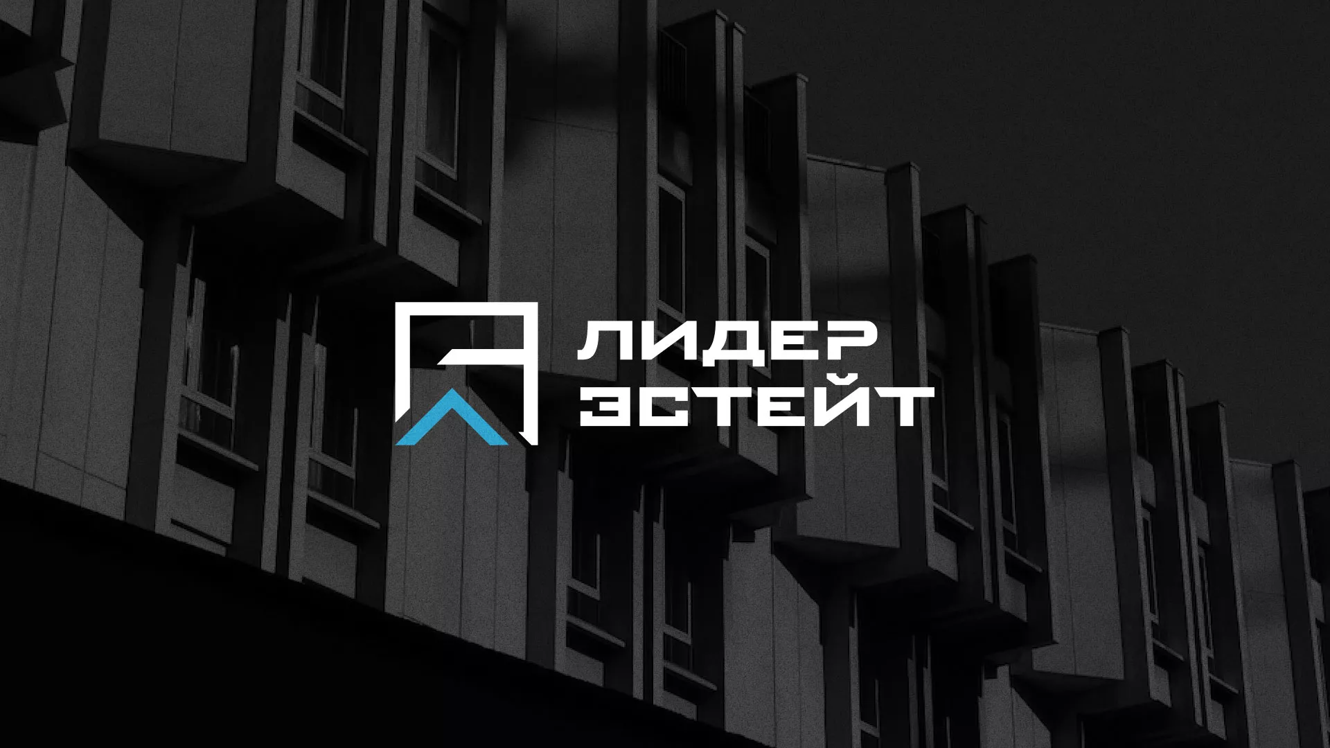 Разработка логотипа агентства недвижимости «Лидер Эстейт» в Шагонаре
